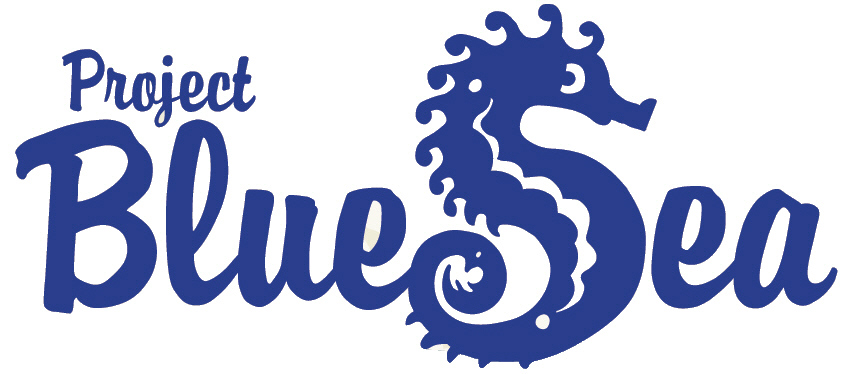 CleanUp 2018 Project Blue Sea e.V.