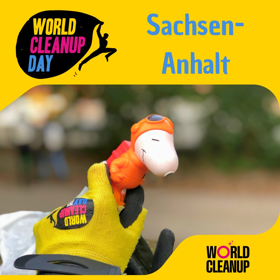 Müllsammeln-Aktion (Sachsen-Anhalt)