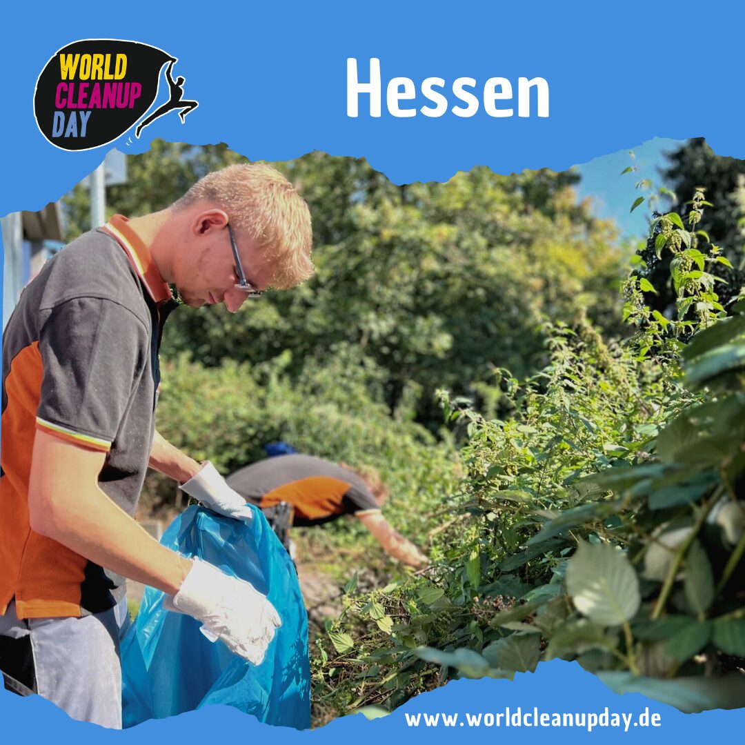 DeSter Clean UP
