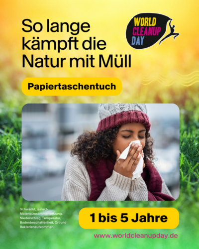 Verrottung Papiertaschentuch WCD 1050x1350px