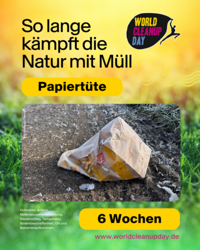 Verrottung Papiertuete WCD 1050x1350px